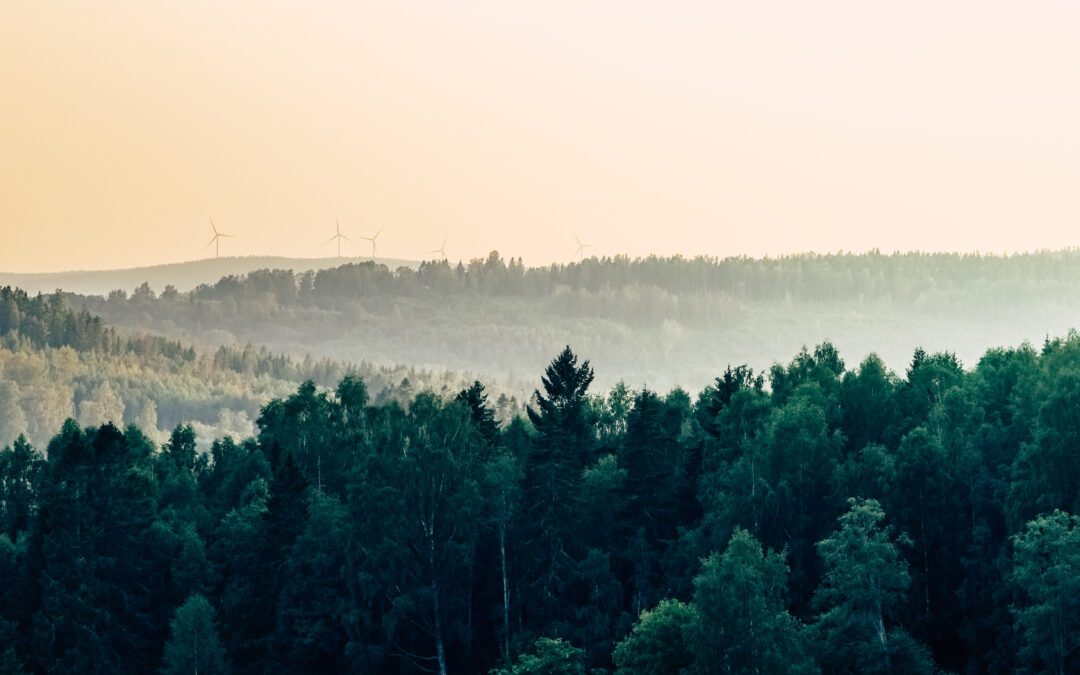 Windkraft: iTerra möchte bei Linsingen noch acht weitere Windräder bauen
